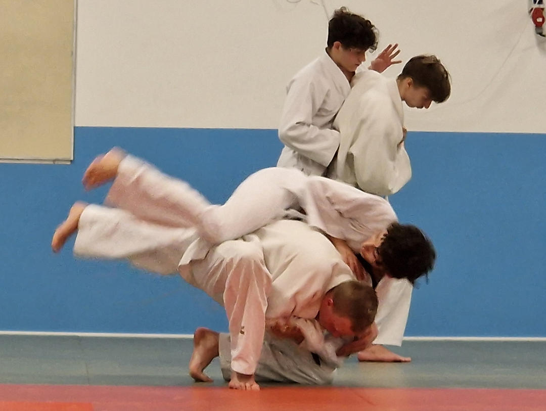 Judokillar